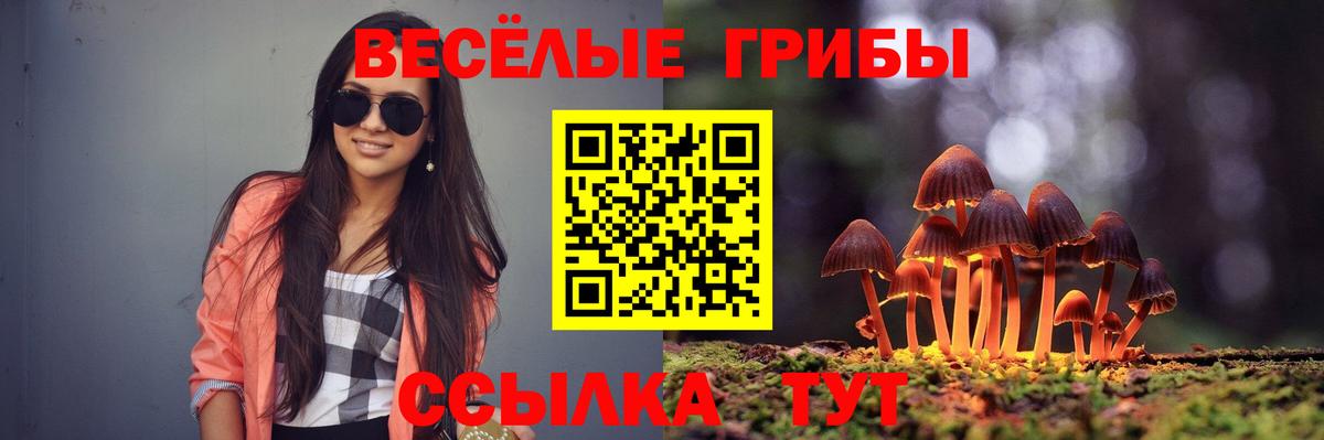 Псилоцибиновые грибы Psilocybine cubensis  Вход с VPN  Среднеуральск 